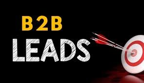 B2B Leads